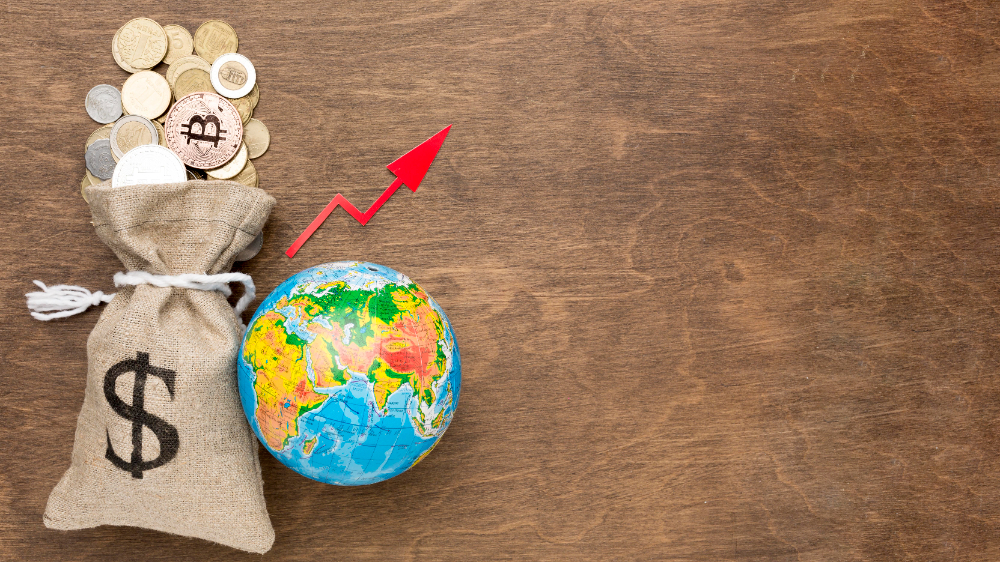 Afrique Eco Insight : discuter de l’économie africaine